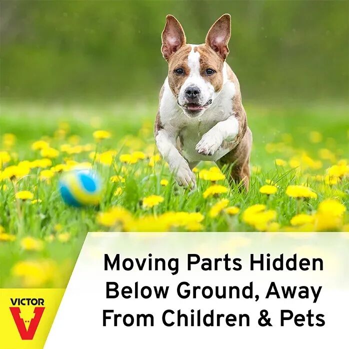 Victor Traps Choker-Style Gopher Trap - 1 lb