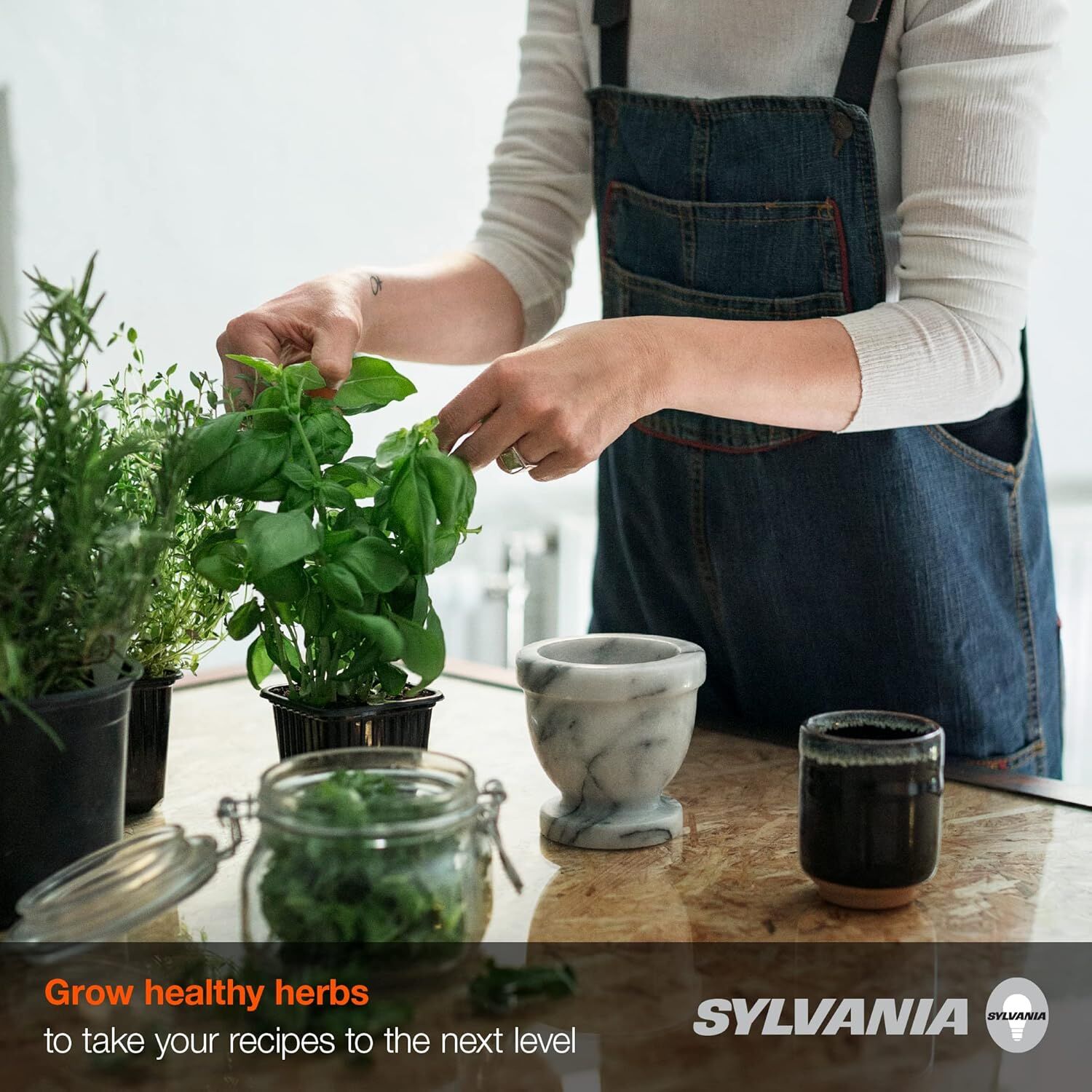 Sylvania A21 17 Watt Frosted Full Cycle Grow LED Light Bulb