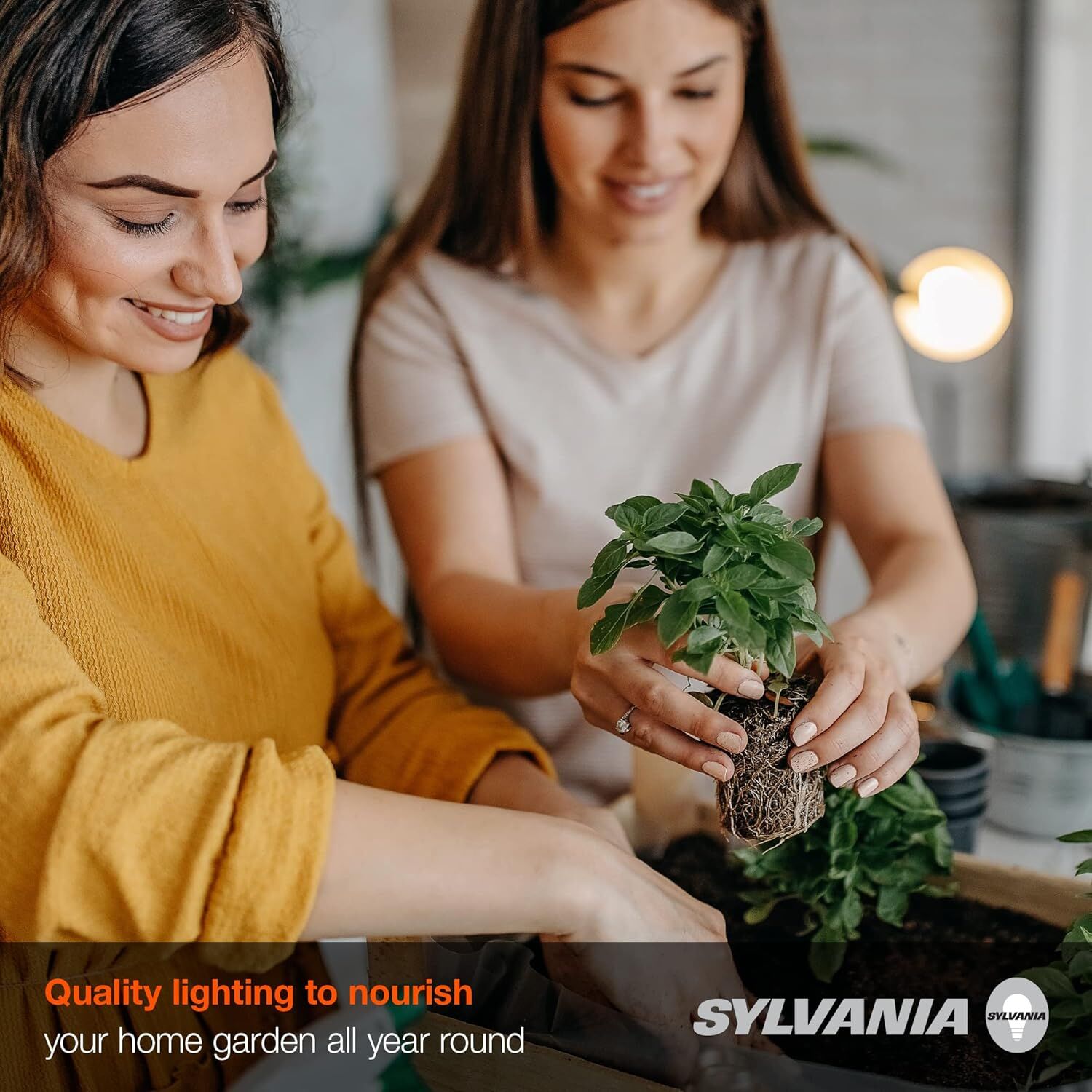 Sylvania A21 17 Watt Frosted Full Cycle Grow LED Light Bulb