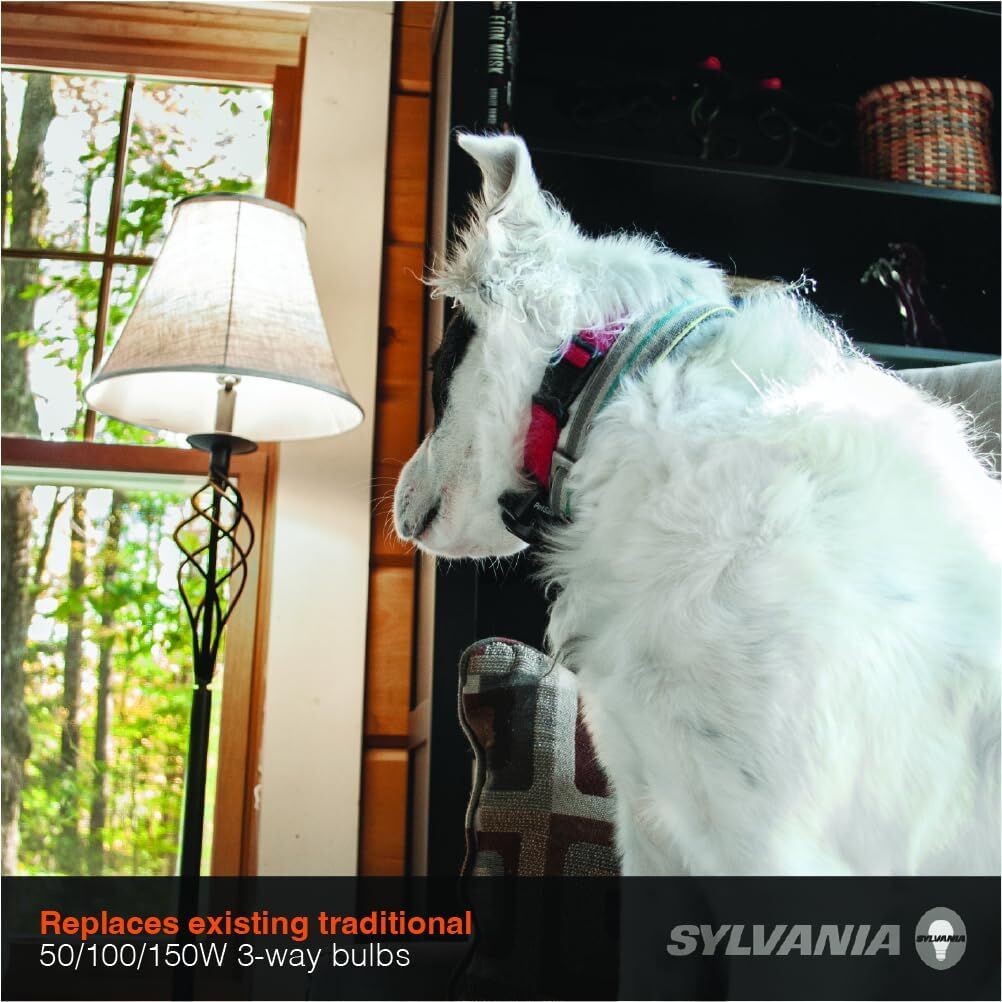 Sylvania A21 6/13/19 Watt Frosted Daylight 3-Way LED Light Bulb