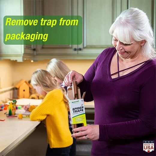 RESCUE! Multi-Surface Spider Trap, 3-Pk