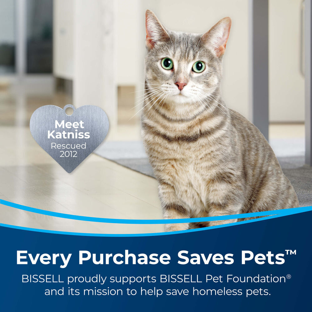 Bissell PET Spotlifter Formula With Brush Head, 12-Oz