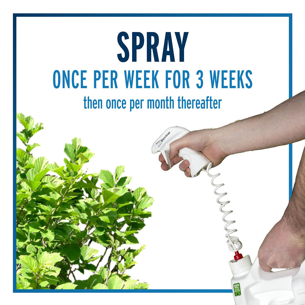 Liquid Fence Deer & Rabbit Repellent, Ready-To-Use - 1 gal