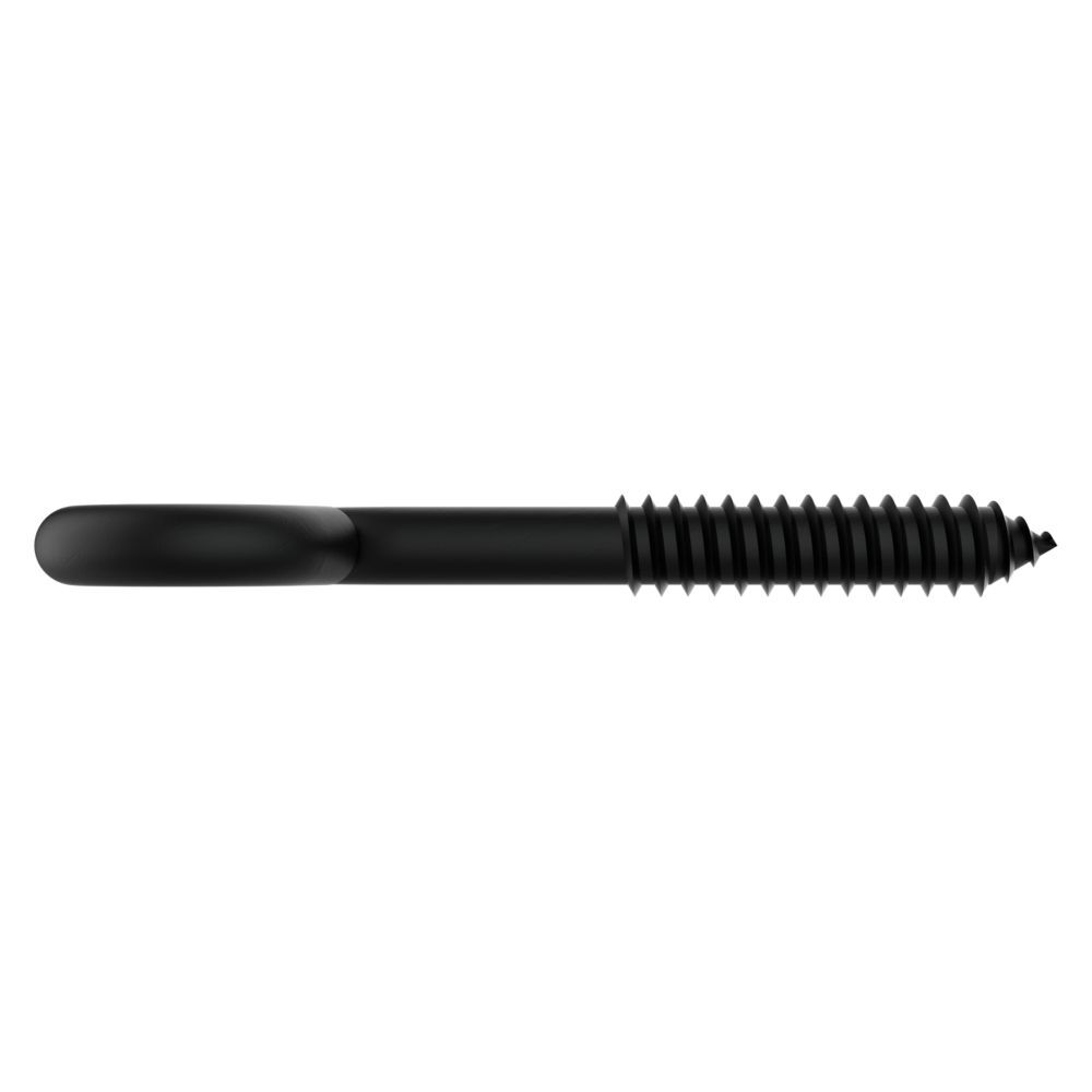 National Hardware Storm Shine Lag Screw Eye, 3/8-In x 4 1/2-In