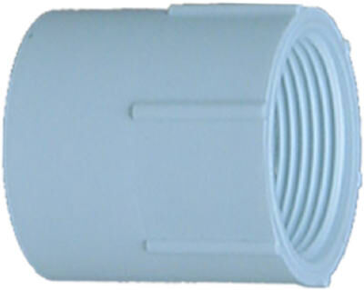 Genova PVC Pressure Fitting Female Adapter - White, 2 in