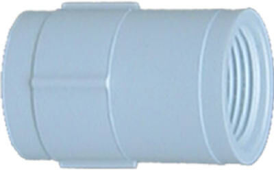 Genova PVC Pressure Pipe Coupling Iron Pipe - White, 1/2 in