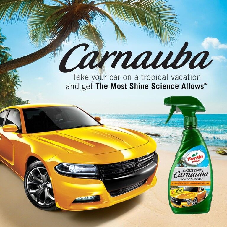Turtle Wax Express Shine Spray Carnauba Car Wax, 16-Oz