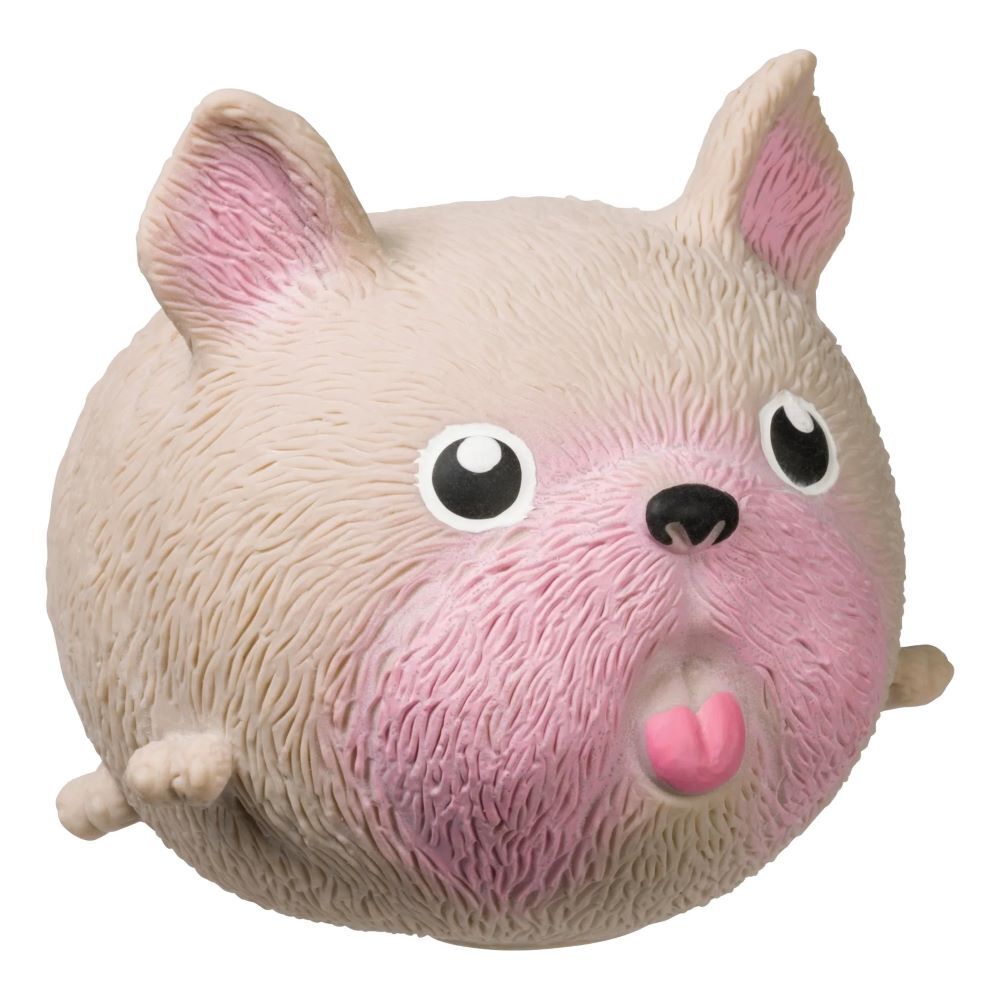 Toysmith  Skwishy Pet Dog Assortment