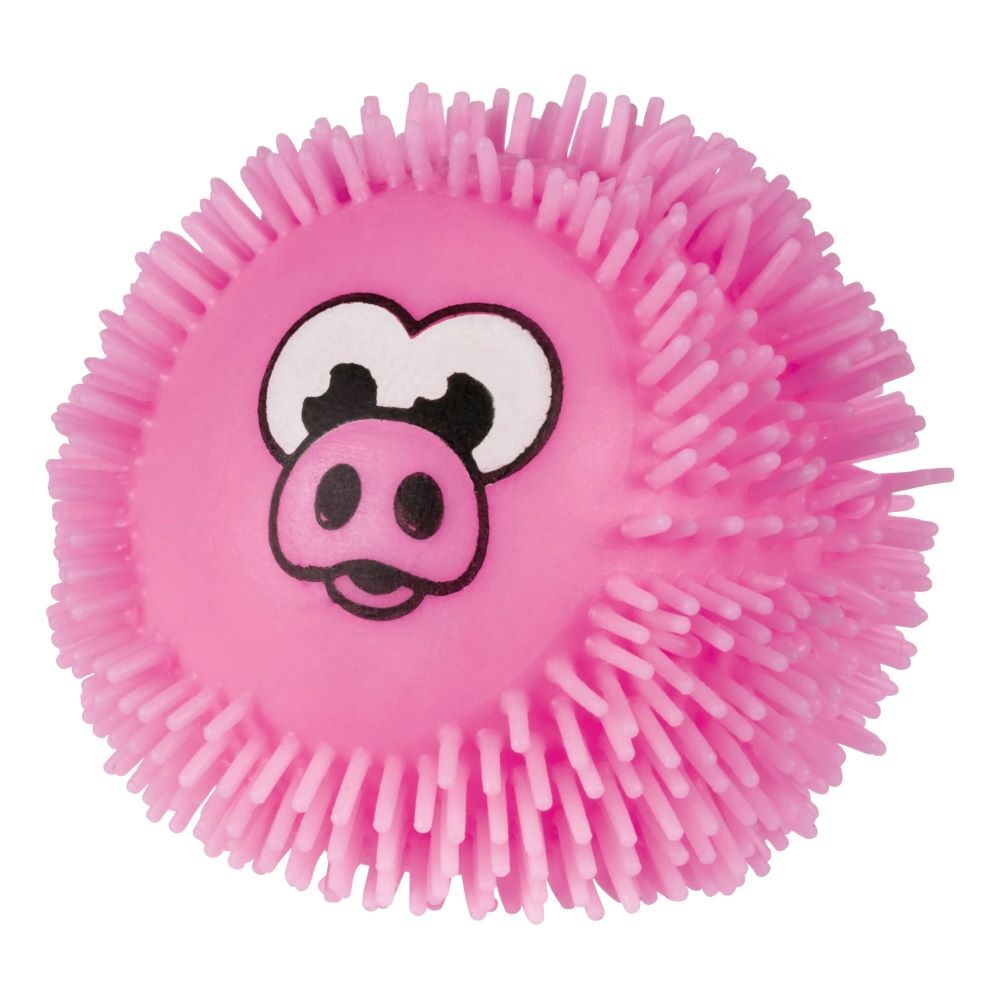 Toysmith YAY! When Pigs Fly