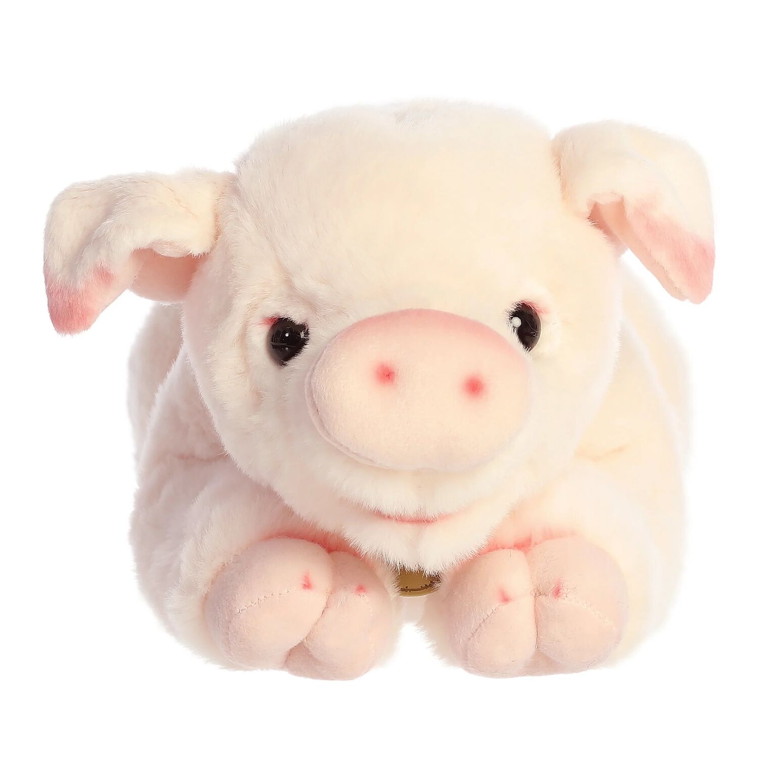 Aurora Miyoni Pig, 11-In