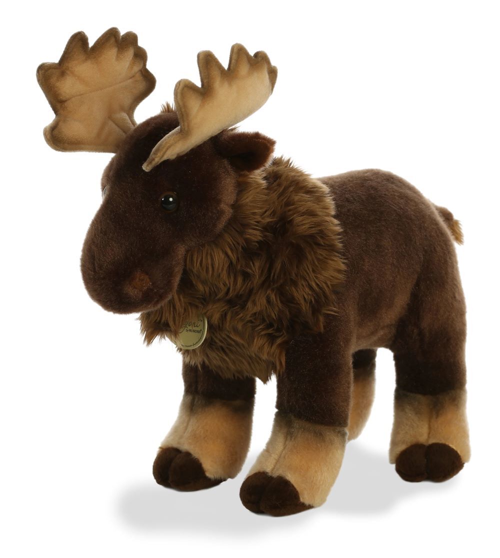 Aurora Miyoni Moose, 14-In
