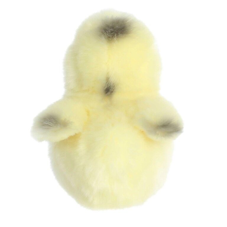 Aurora Miyoni Tots Ameraucana Chick, 5.5-In