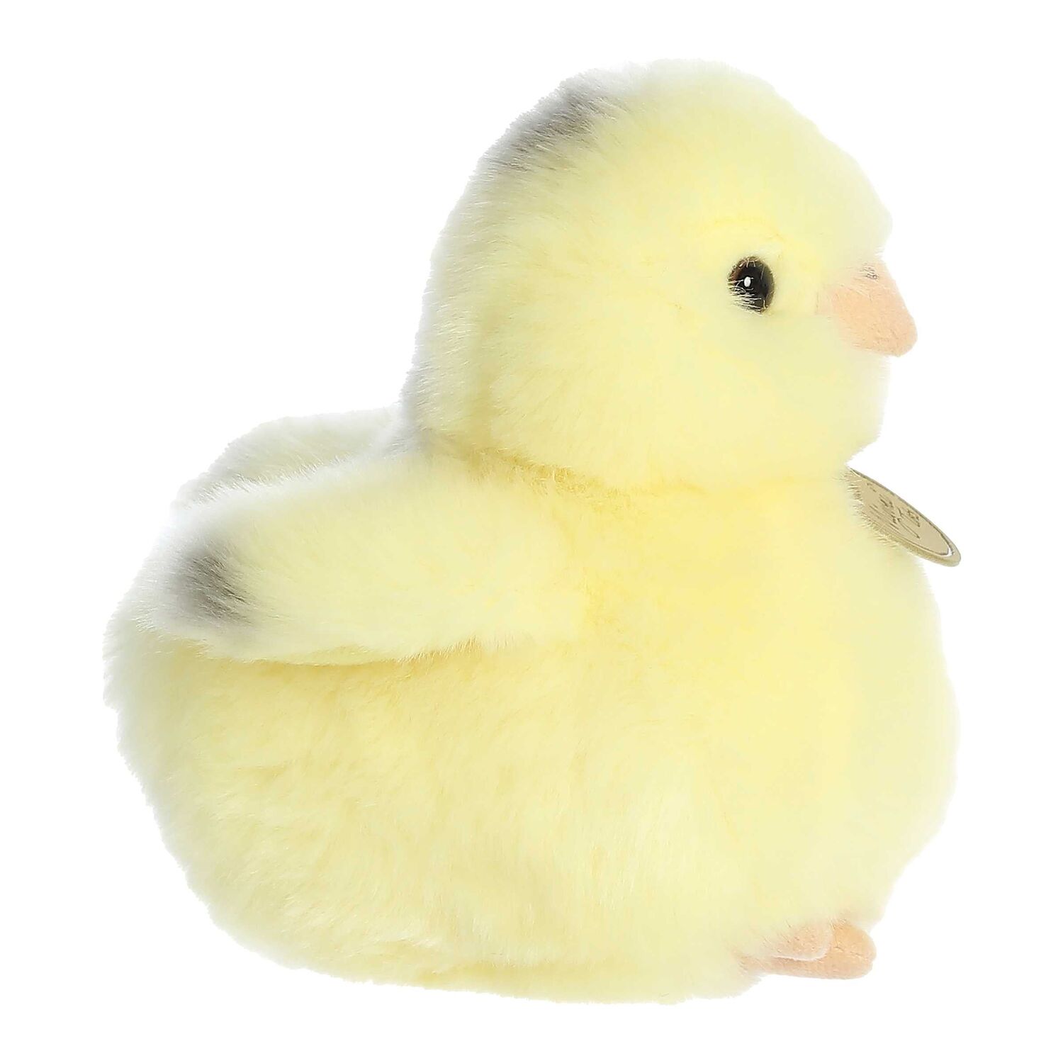 Aurora Miyoni Tots Ameraucana Chick, 5.5-In