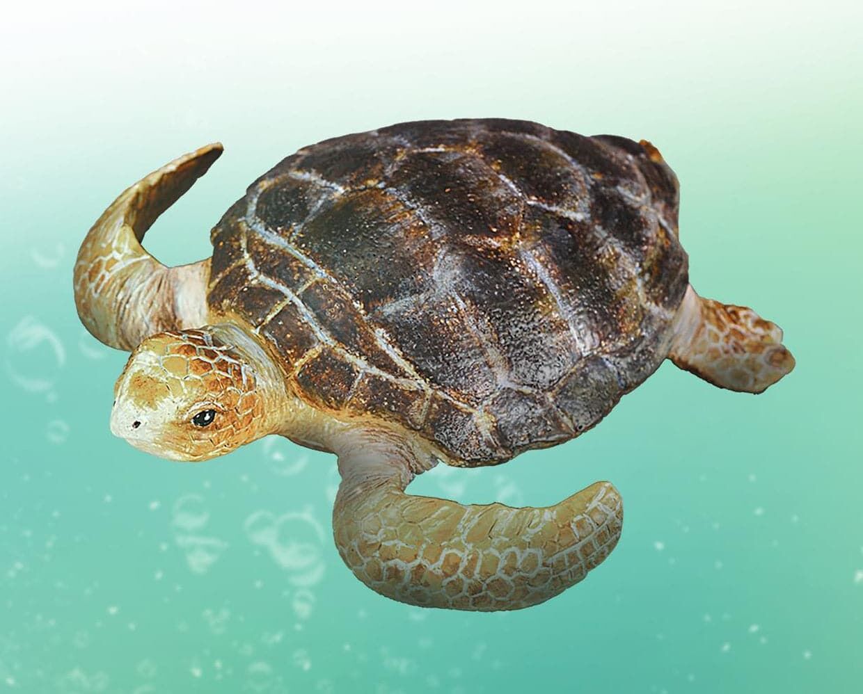 Breyer Loggerhead Turtle Toy
