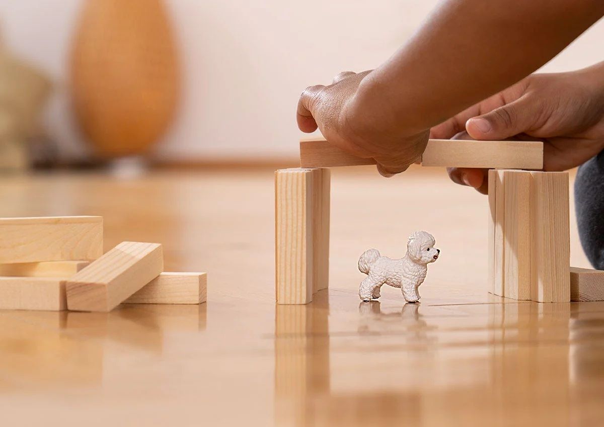 Schleich Bichon Frise Toy