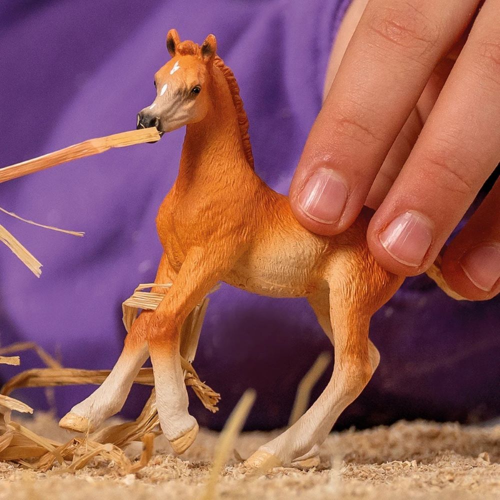 Schleich Arabian Foal Toy
