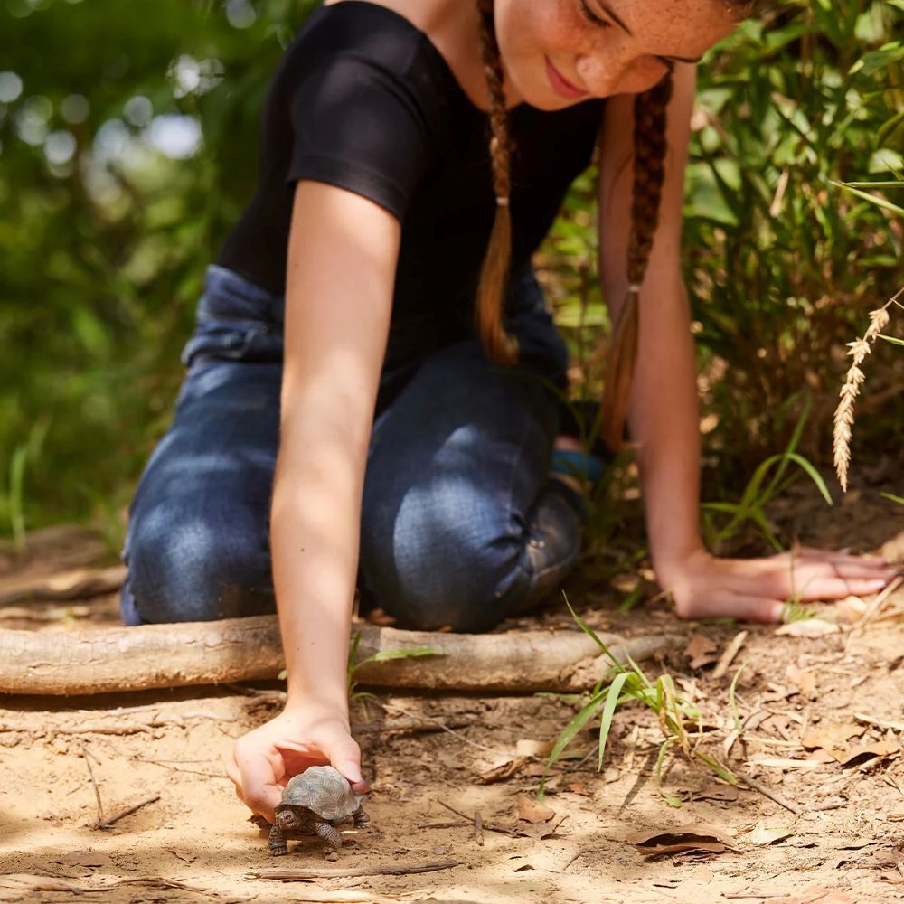 Schleich Giant Tortoise Toy