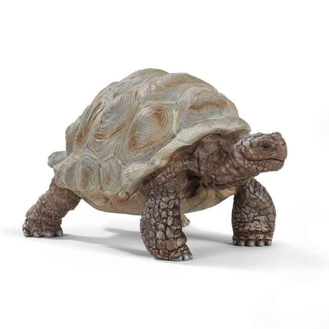 Schleich Giant Tortoise Toy