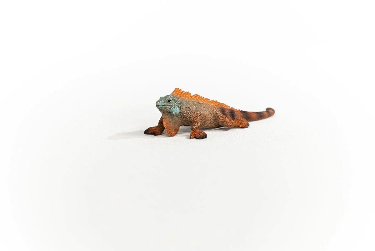 Schleich Iguana Toy