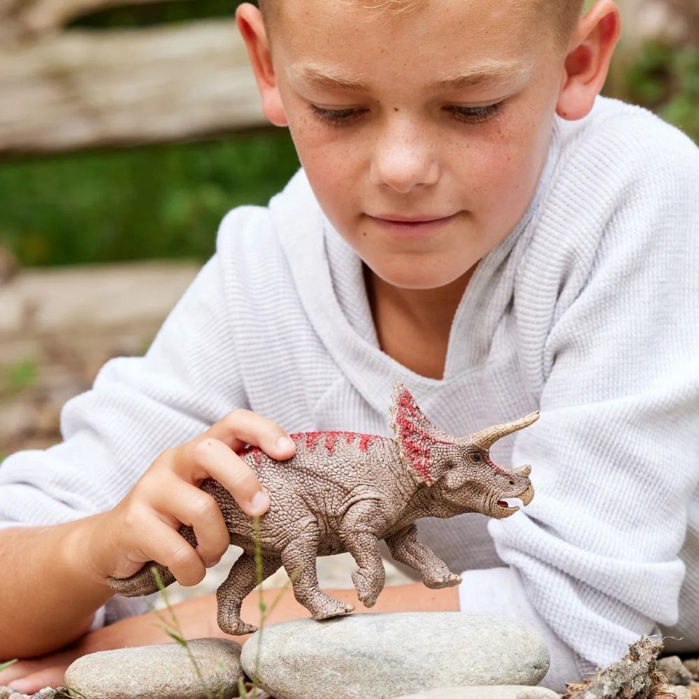 Schleich Triceratops Toy