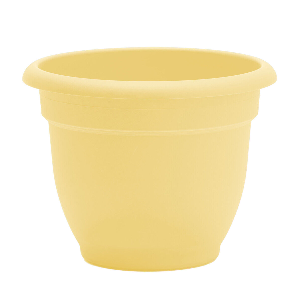 Bloem Daffodil Ariana Planter, 8 in.