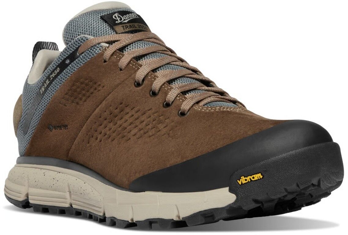Danner Men's Trail 2650 GTX Shoe