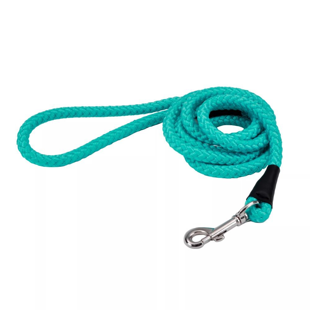 Coastal Pet Products Teal Rope Dog Leash, 1/2-In x 6-Ft
