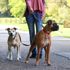 Coastal Pet Products 2 Dog Walker Tangle-Free Adjustable Leash, 5/8-In x 4-Ft