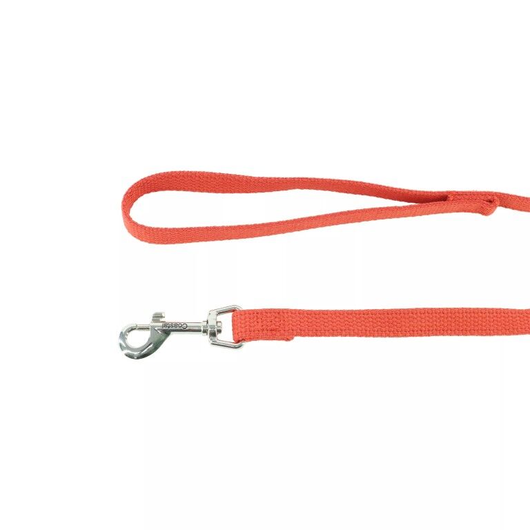 Costal Pet Train Right! Black Cotton Web Dog Training Leash, 10-Ft