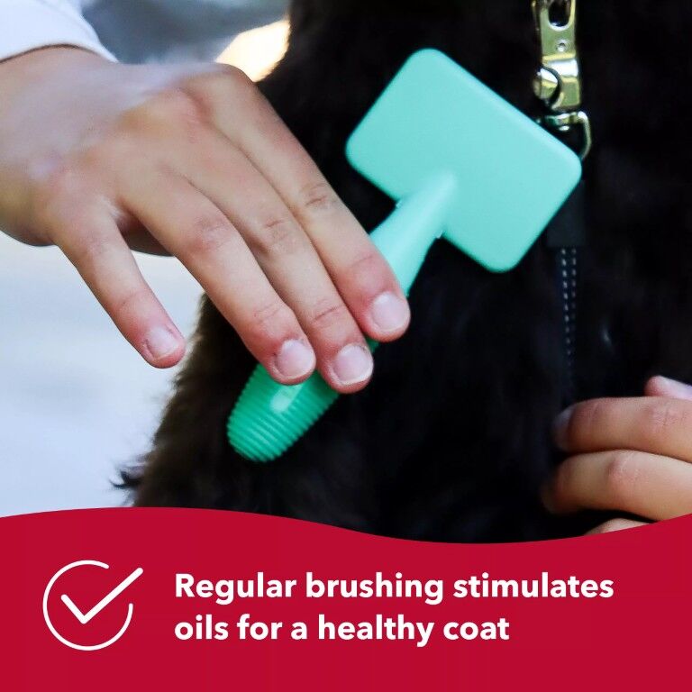 Coastal Pet Products Li'l Pals Dog Slicker Brush