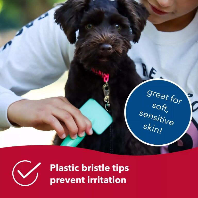 Coastal Pet Products Li'l Pals Dog Slicker Brush