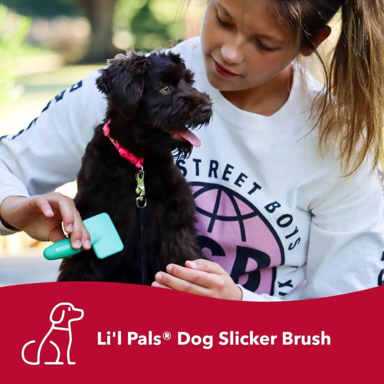 Coastal Pet Products Li'l Pals Dog Slicker Brush