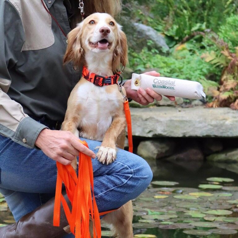 Coastal Pet Products Water & Woods Natural Canvas Dog Training Dummies, 2-In x 9-In