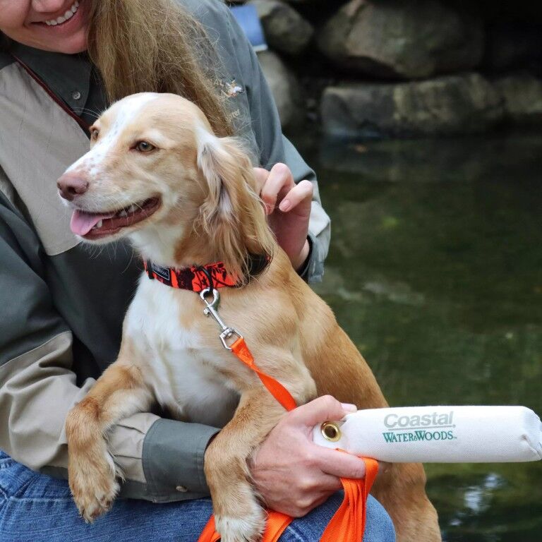 Coastal Pet Products Water & Woods Natural Canvas Dog Training Dummies, 2-In x 9-In