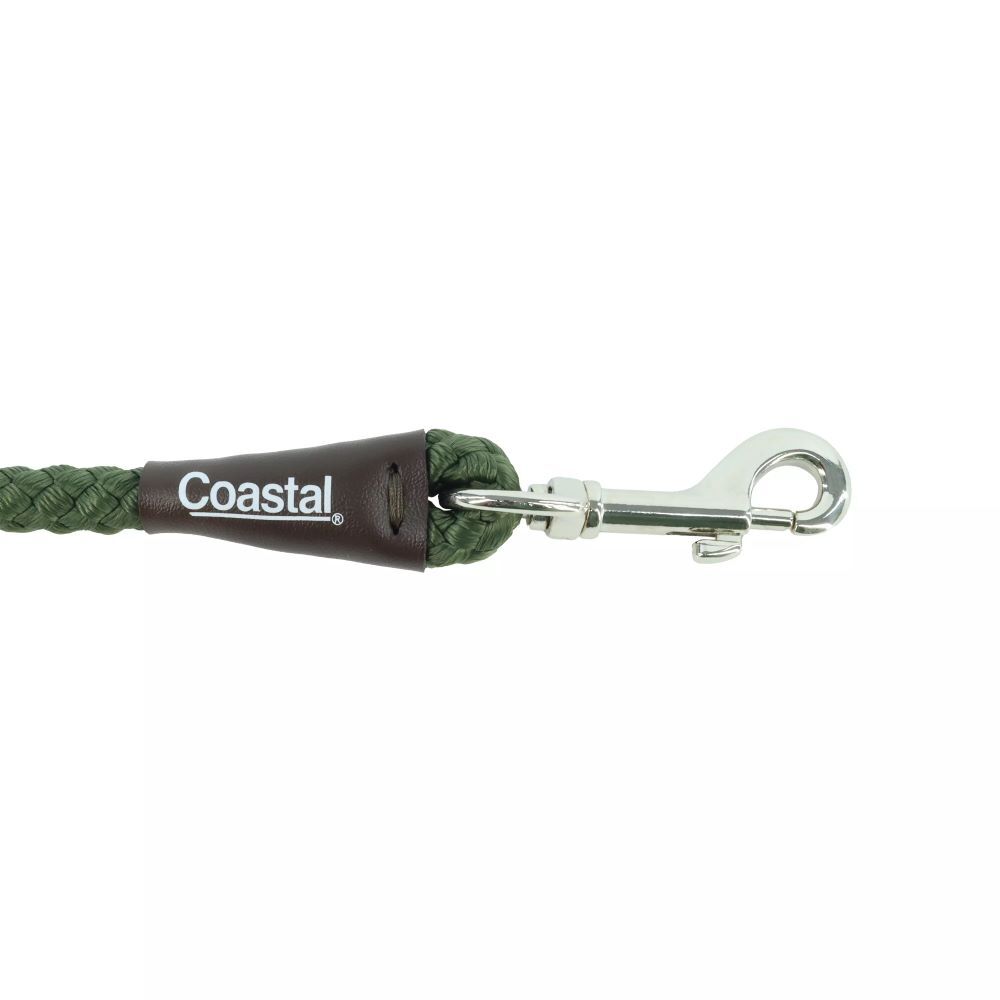 Coastal Pet Water & Woods Green Braided Rope Snap Dog Leash, 6-Ft