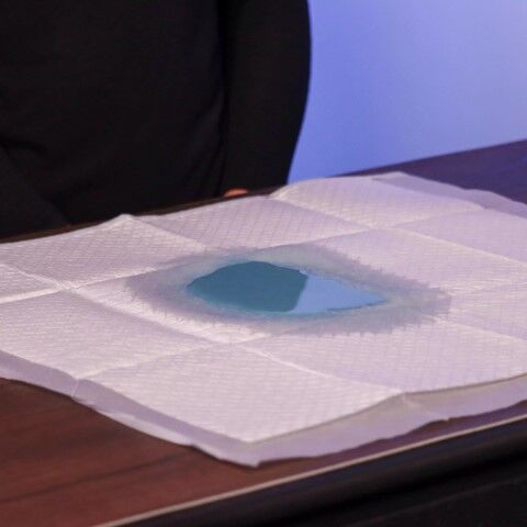 Advance Dog Training Pad With Turbo Dry Technology, 30-Pk