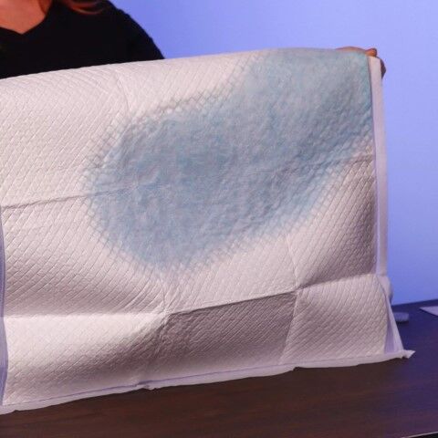 Advance Training Pads With Turbo Dry Technology Puppies & Dogs, 50-Ct