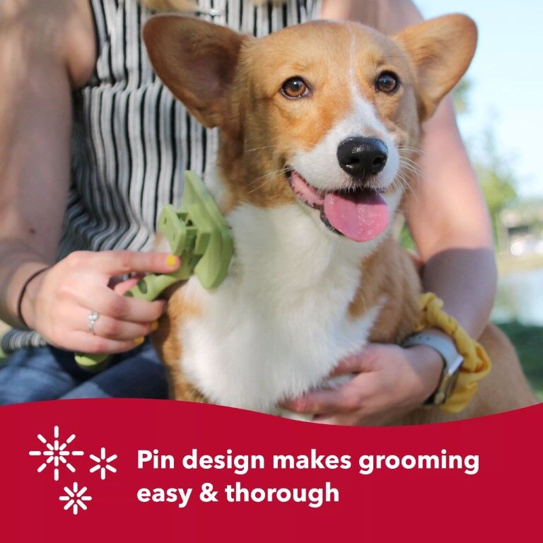 Safari by Coastal Dog Self-Cleaning Slicker Brush