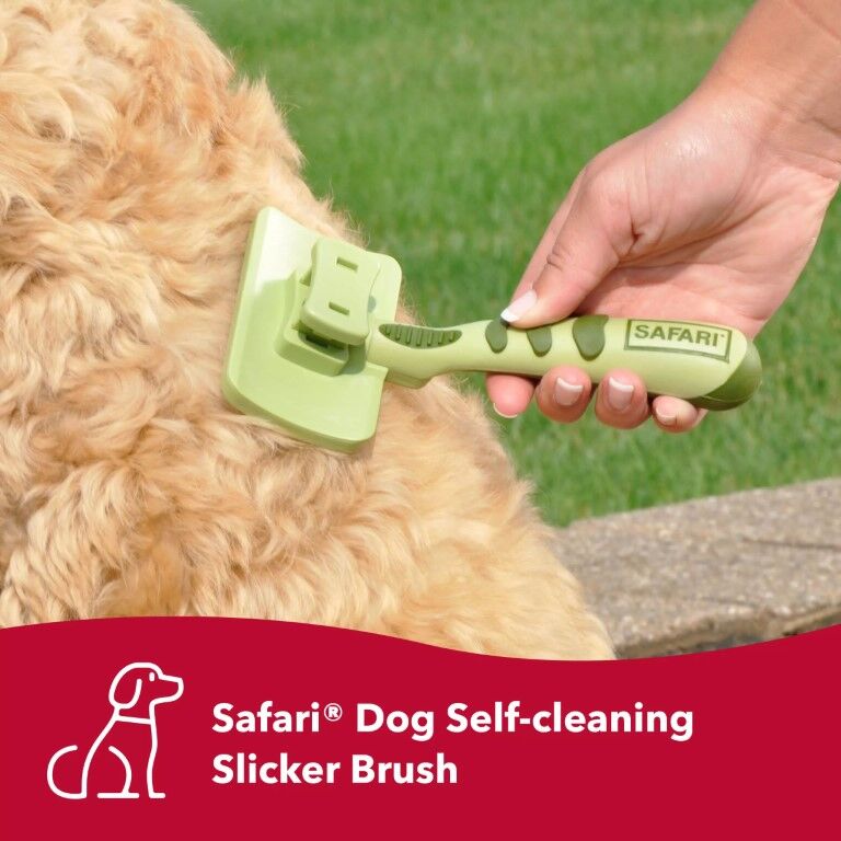 Safari by Coastal Dog Self-Cleaning Slicker Brush