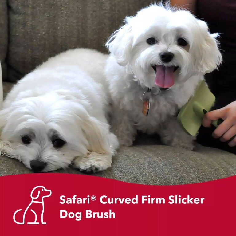 Coastal Pet Products Safari Curved Firm Slicker Dog Brush