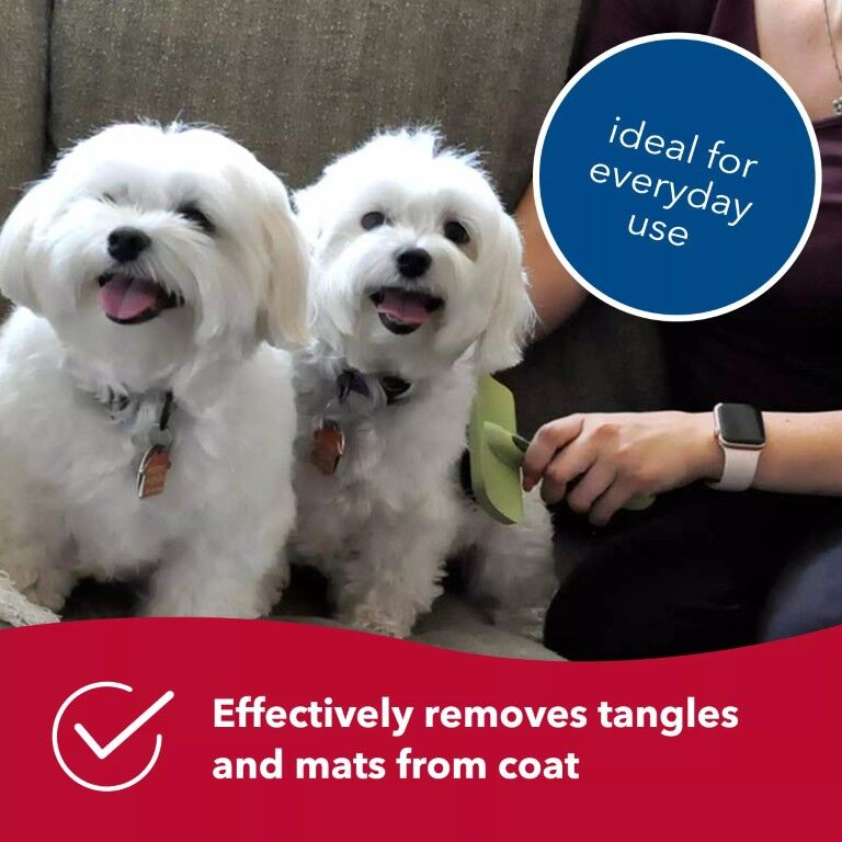 Safari Curved Firm Slicker Medium Dog Brush, 6.75 X 4.25-In