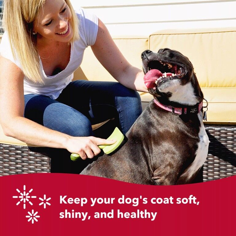 Safari Curved Firm Slicker Dog Brush, 7.5 X 4.5-In