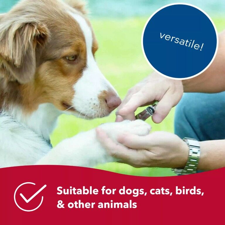 Safari Small Guillotine Dog Nail Trimmer