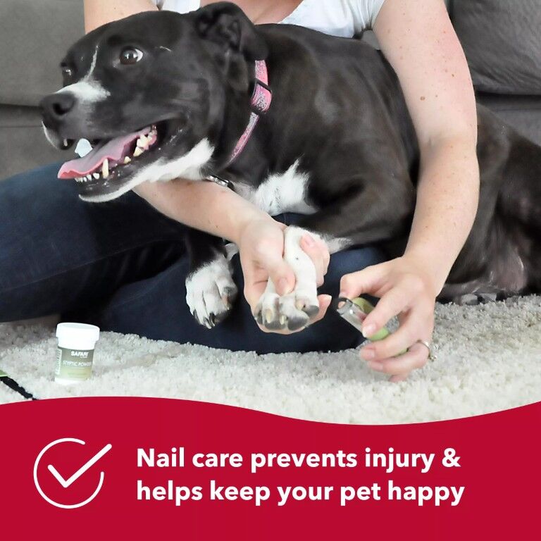 Safari Guillotine Dog Nail Trimmer, 5-In