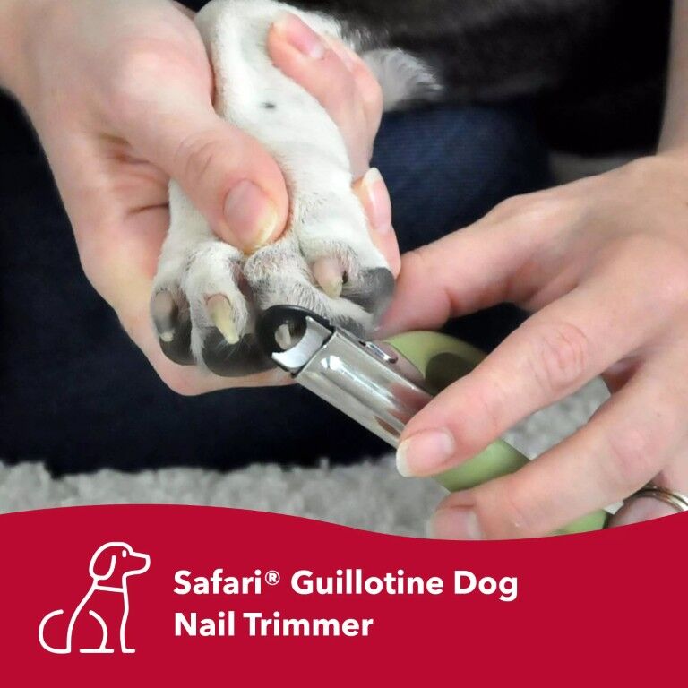Safari Guillotine Dog Nail Trimmer, 5-In