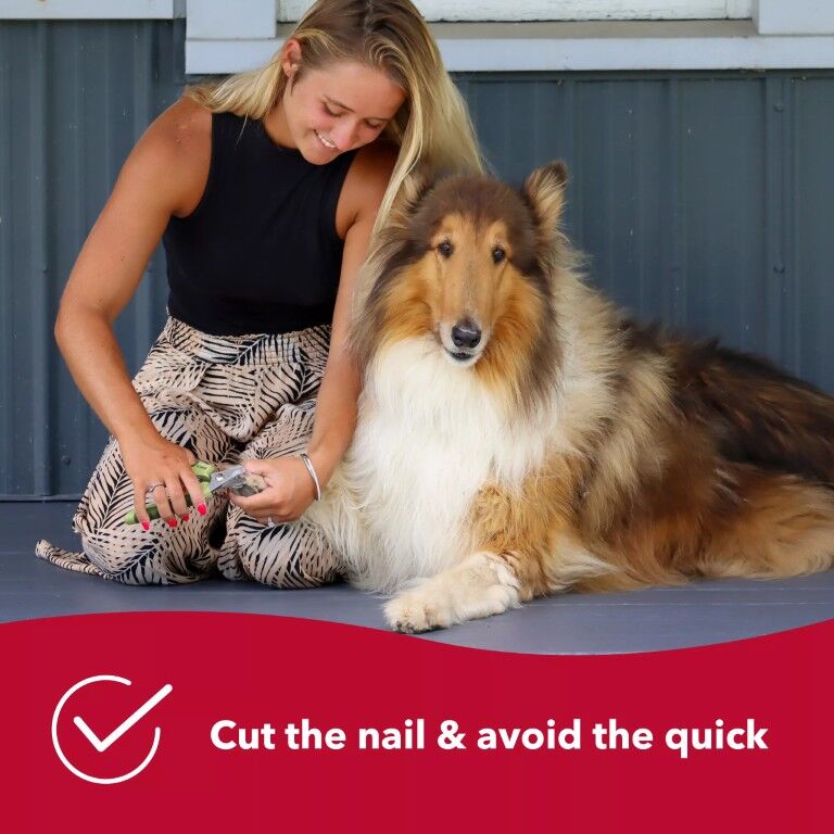 Safari Professional Dog Nail Trimmer
