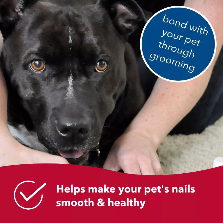 Safari by Coastal Dog Diamond Nail File