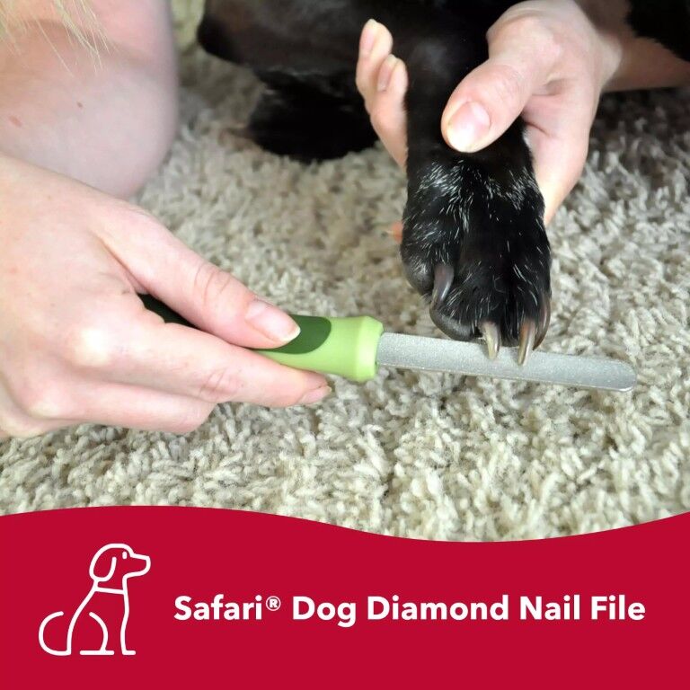 Safari by Coastal Dog Diamond Nail File