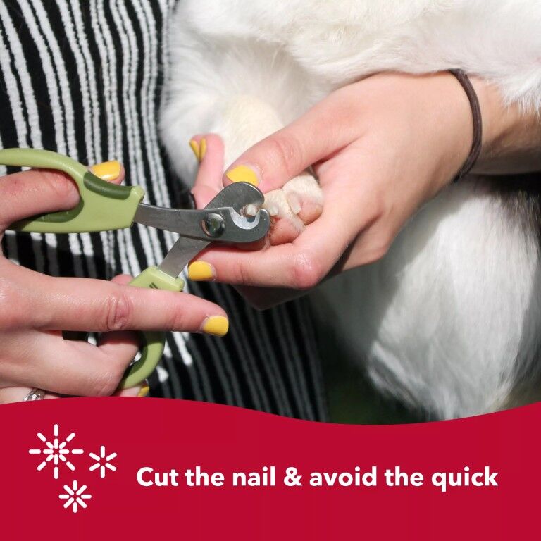 Safari Deluxe Dog Nail Trimmer