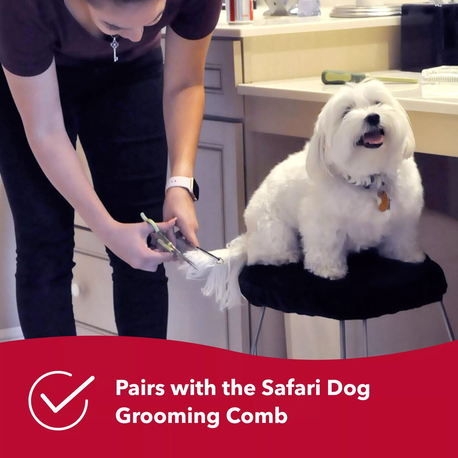 Safari by Coastal Dog Grooming Safety Scissors